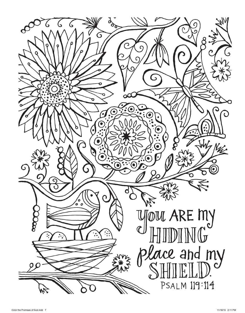 Color The Promises Of God: An Adult Coloring Book For Your Soul (color 